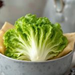 意外と知らないキク科の野菜とは？スーパーで買える身近な食材を一覧で紹介