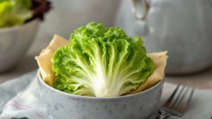意外と知らないキク科の野菜とは？スーパーで買える身近な食材を一覧で紹介