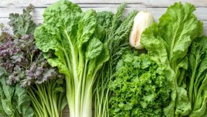 キク科の野菜の特徴と効能｜レタスやゴボウなど代表的な13品目を専門家が解説