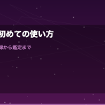 電話占い初めての使い方完全ガイド｜登録から鑑定まで流れをやさしく解説